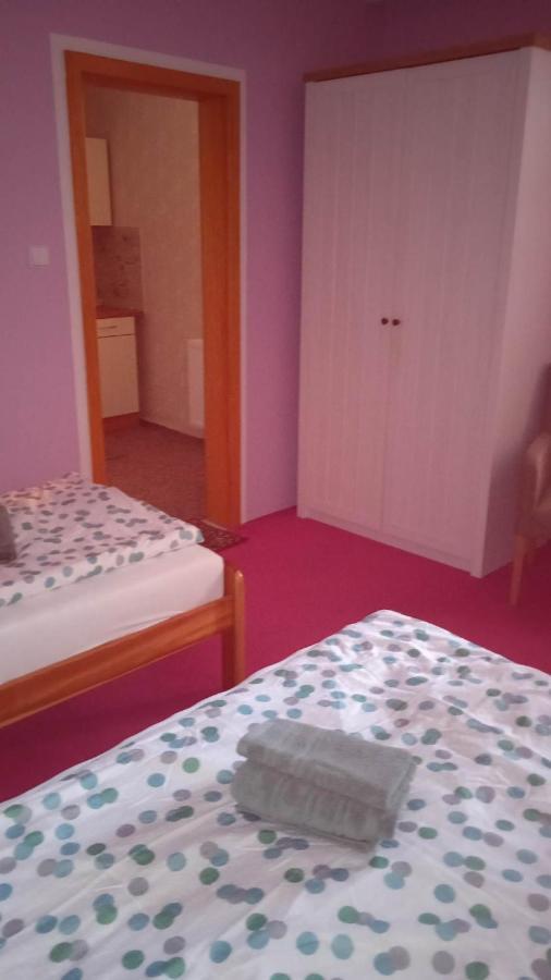 Ubytovani V Soukromi Na Podluzi Josefov Bagian luar foto